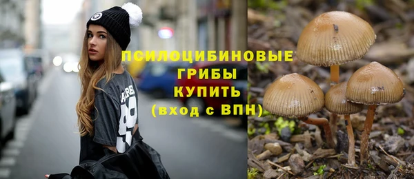 тгк Беломорск