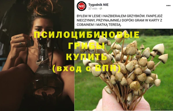 тгк Беломорск